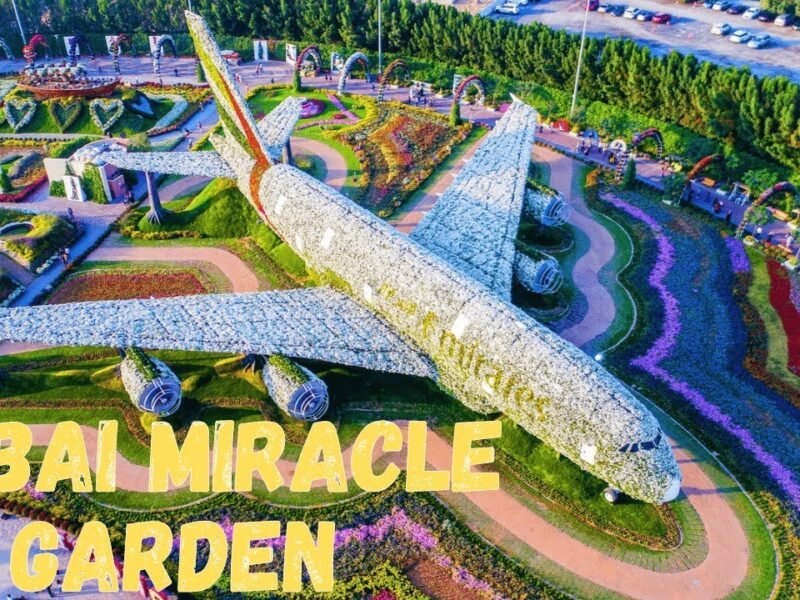 miracle garden dubai