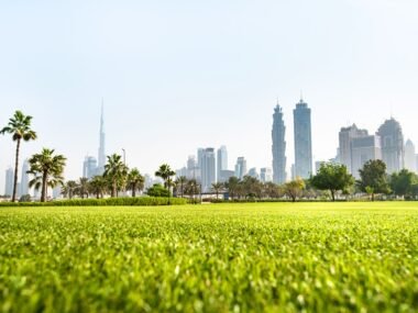 best parks in dubai