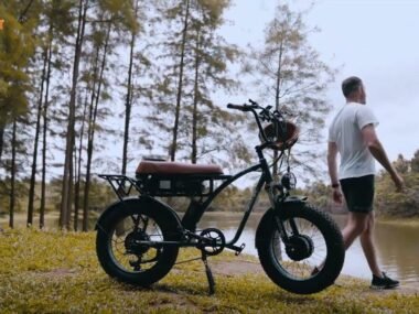 GOGOBEST Electric Bike