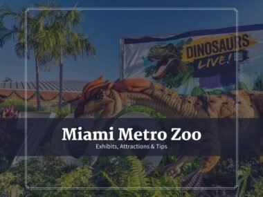 Miami Metro Zoo Review