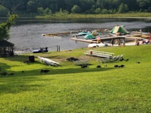 Fort Gatlin Recreation Complex
