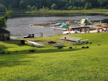 Fort Gatlin Recreation Complex